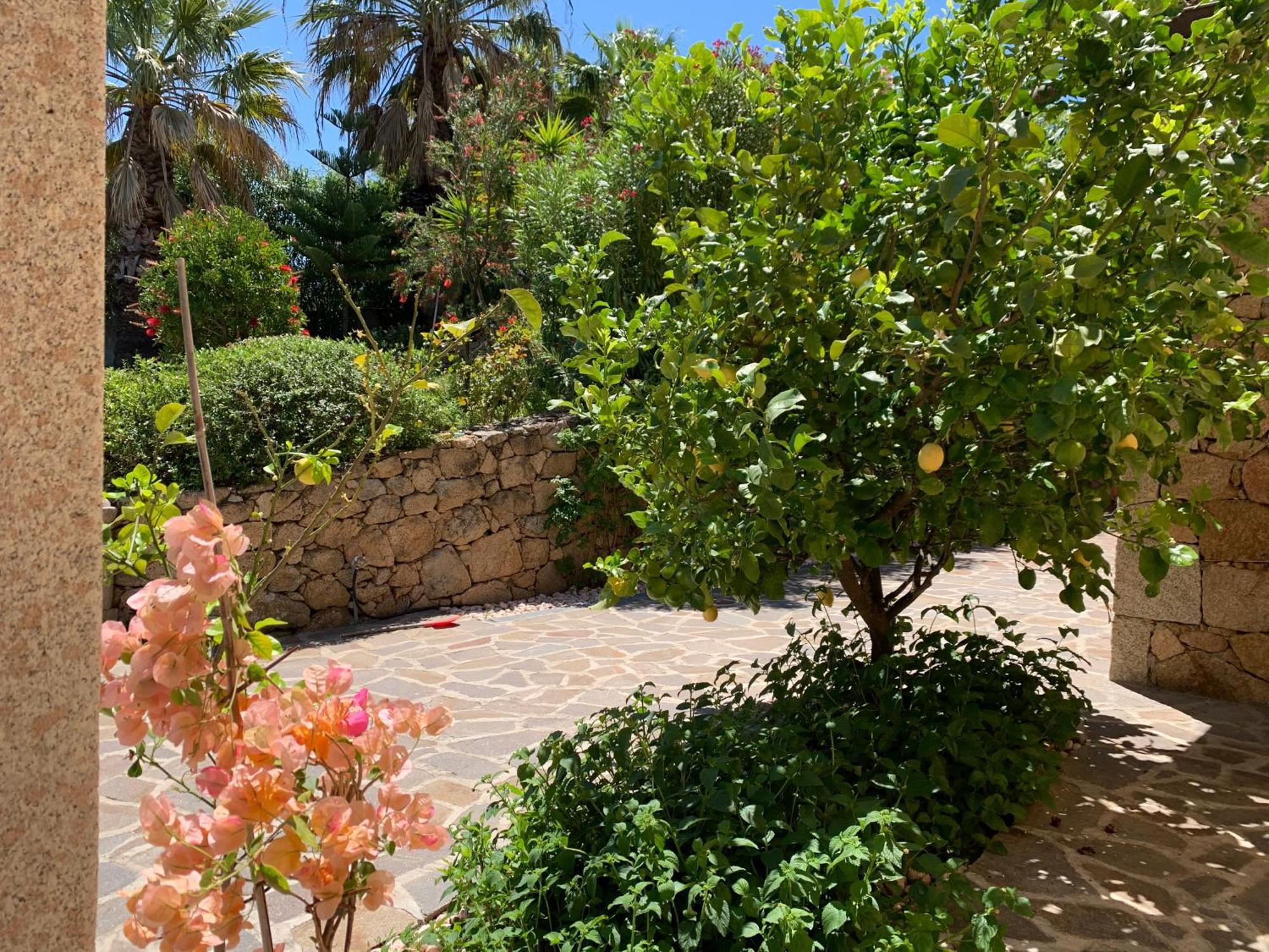 Villa Anastasia Cugnana Dış mekan fotoğraf